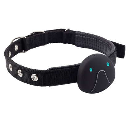 TDLY™ Smart Safe – Waterproof Tracker Collar